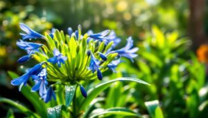After the rain, this overlooked step saves your agapanthus from rot and shocked gardeners swear by it